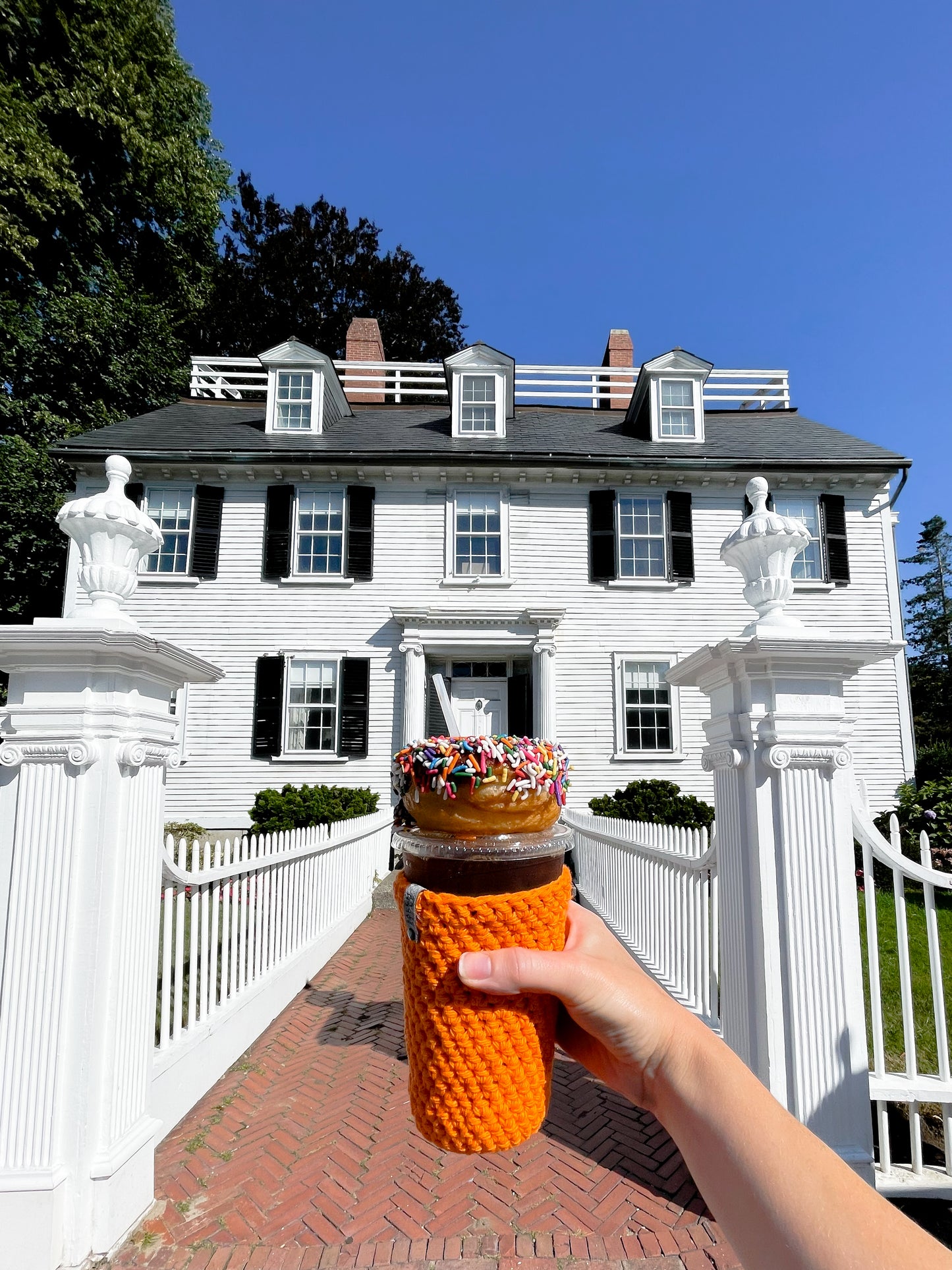 Orange Iced Coffee Cup Cozy